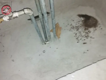 伊通卫生间测漏水价格明细