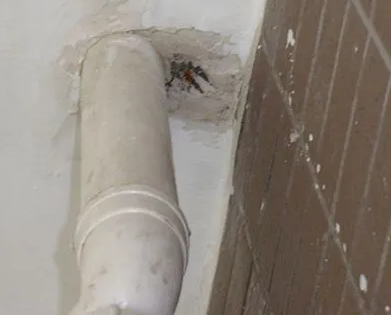 伊通漏水检测哪家好